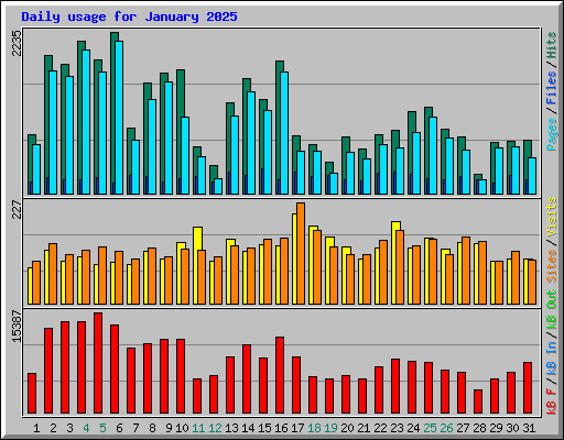 Daily usage for January 2025