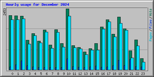 Hourly usage for December 2024
