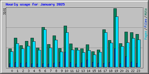 Hourly usage for January 2025
