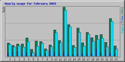 Hourly usage for February 2025