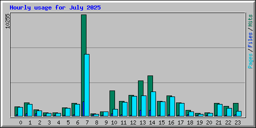 Hourly usage for July 2025