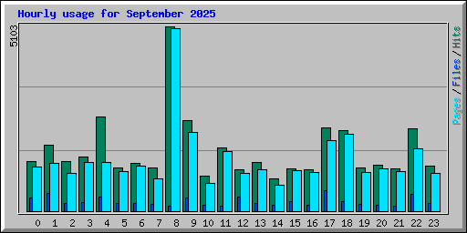 Hourly usage for September 2025
